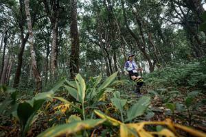 BIB: 
                            <button type="button" onclick="openModal(22795369)" class="btn btn-primary btn-sm float-right btn-popup" data-toggle="modal" data-target=".modal-high-quality">
                        <i class="fas fa-shopping-cart"></i> Add to Cart
                    </button>
                                            <button type="button" onclick="isThisMe(22795369, true)" class="btn btn-success btn-sm float-right btn-popup btn-isme hidden" data-toggle="tooltip" data-placement="bottom" title="นี่คือรูปของคุณใช่ไหม คลิกที่นี่เพื่อเอาเข้าอัลบั้ม">
                        <i class="fas fa-plus"></i> Add to album
                    </button>
                    <button type="button" onclick="isThisMe(22795369, false)" class="btn btn-warning btn-sm float-right btn-popup btn-isnotme hidden">
                        <i class="fas fa-ban"></i> Remove from album
                    </button>